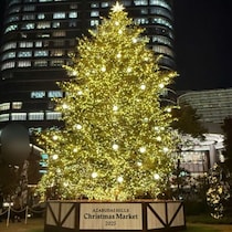 もうすぐクリスマス!麻布台ヒルズのクリスマスマーケットがやってきた♡