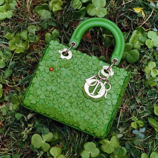 Dior×クローバーが導く幸運♡新生「レディ ディオール」に宿る物語