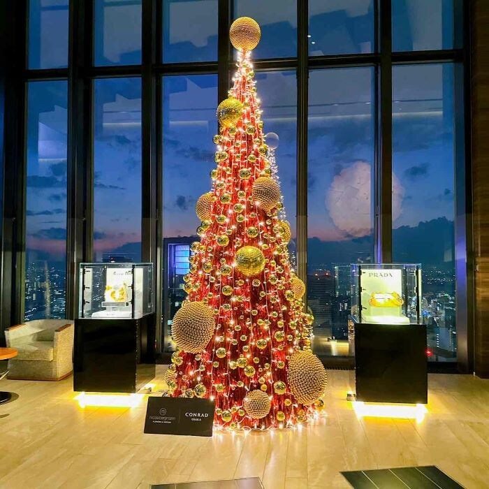 コンラッド大阪　ニコライバーグマン⑮