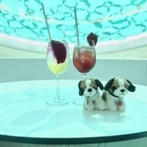 大阪・関西万博を会場を望む真っ白なハイジカフェにて特別なカフェタイム