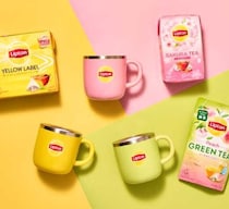 リプトン×白湯専科マグカップ♡紅茶も白湯も最適温度で楽しめる