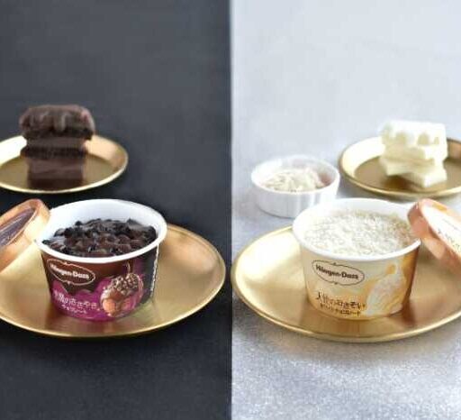 ハーゲンダッツのチョコレートシリーズ、誘惑の2種が期間限定で発売
