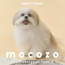 merry jenny×モコゾウ第4弾、癒しと可愛さ満点の最新コラボ