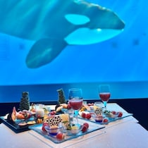 シャチを眺めながら 「ストロベリースイーツブッフェ」神戸須磨シーワールド