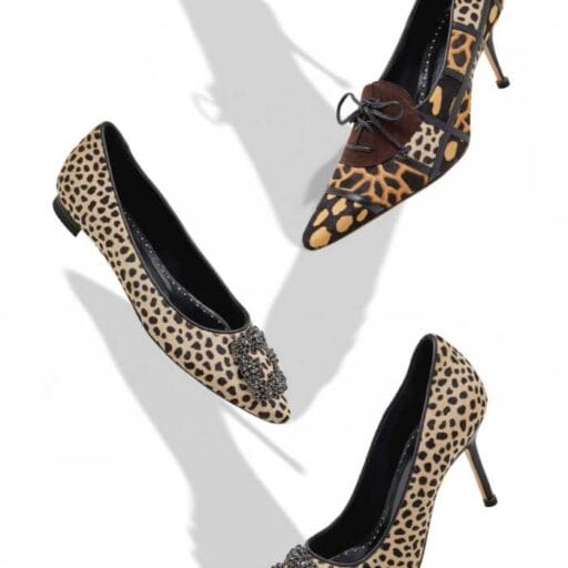 マノロ ブラニクの新作シューズで巡る、旅心を刺激するサファリの美学