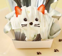 猫の日をスイーツで祝おう♪パティスリーピネードの限定新作登場