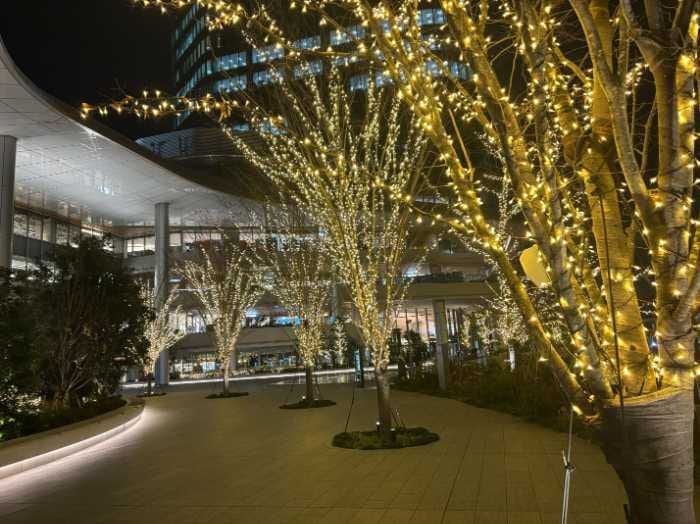 都内イルミネーションのビジュアル③