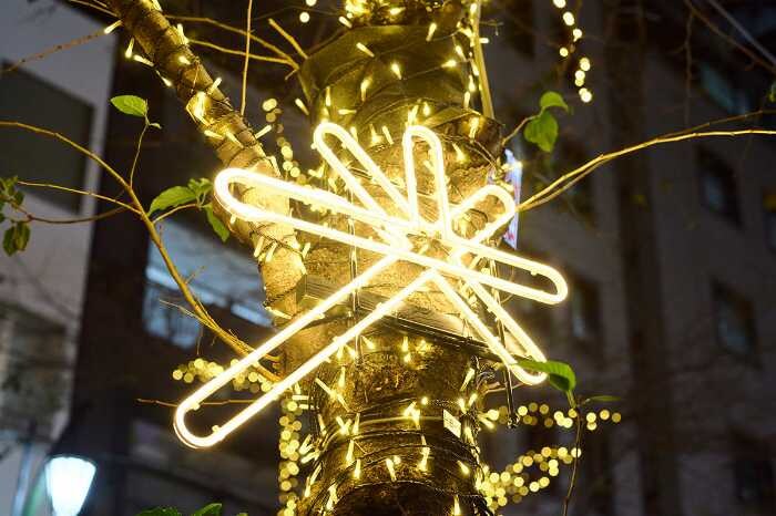 都内イルミネーションのビジュアル⑧