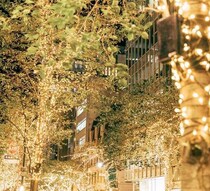 まだ間に合う!1月の”きらめき散歩”今だけ楽しめる都内イルミネーション3選