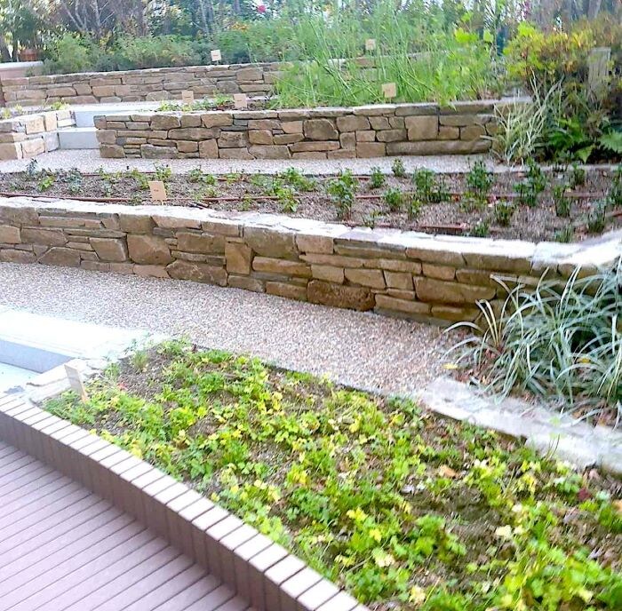 パティーナ大阪　苺㉔