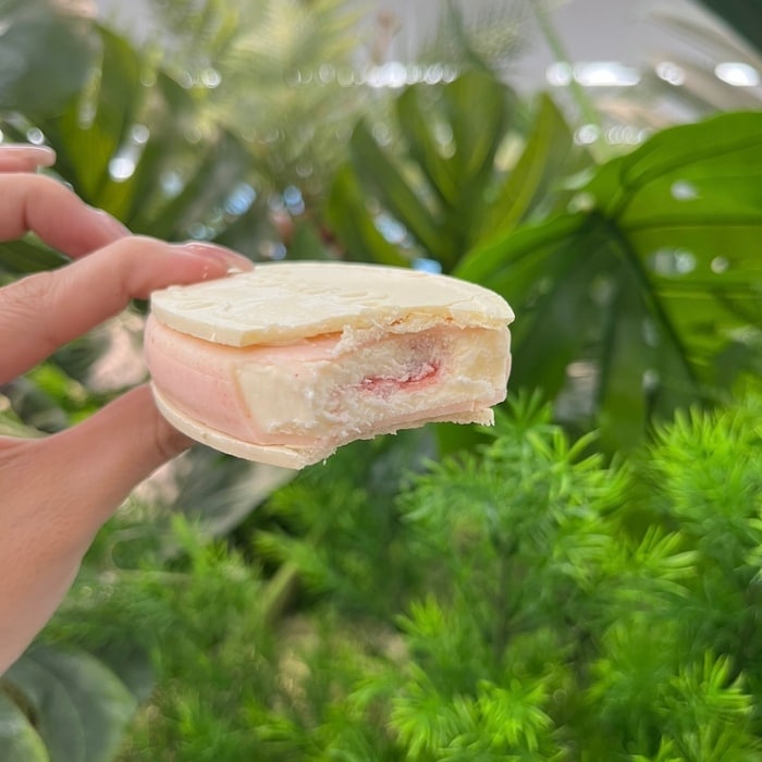 ハーゲンダッツの贅沢いちごミルク⑤