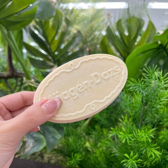 ハーゲンダッツの贅沢いちごミルク③