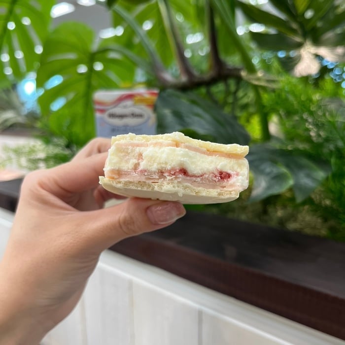 ハーゲンダッツの贅沢いちごミルク⑥