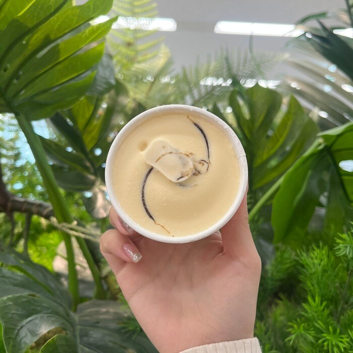 ハーゲンダッツのグリーンクラフトアフォガート③