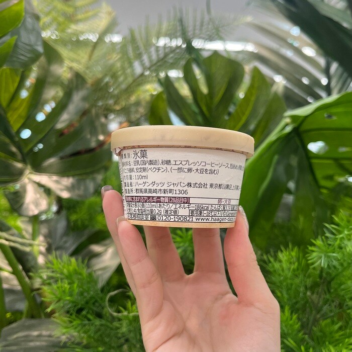 ハーゲンダッツのグリーンクラフトアフォガート⑨