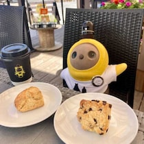 伊豆長岡yuuに新登場。しっとり優しいスコーンとラボット時間