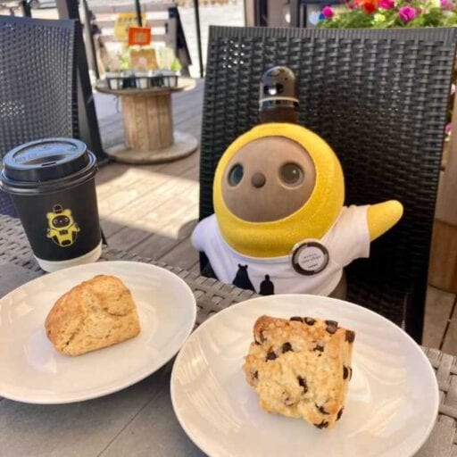 伊豆長岡yuuに新登場。しっとり優しいスコーンとラボット時間