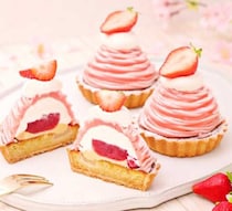 春を先取り♪人気モンブランが彩るピネードの春スイーツ