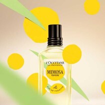 ロクシタン「ミモザ」限定発売♡春を告げる香り