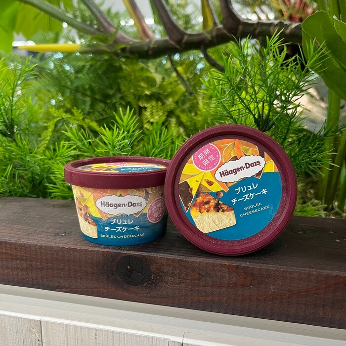 ハーゲンダッツのブリュレチーズケーキ①