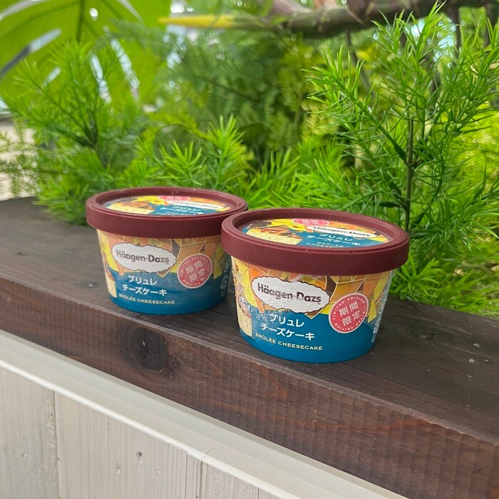 ハーゲンダッツのブリュレチーズケーキ⑦