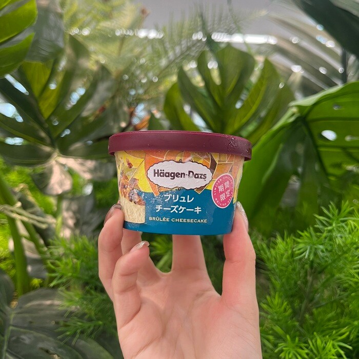 ハーゲンダッツのブリュレチーズケーキ③