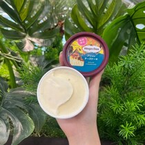 濃厚なチーズとほろ苦いカラメル!ハーゲンダッツ”ブリュレチーズケーキ”が新登場♪