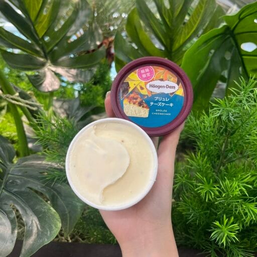 濃厚なチーズとほろ苦いカラメル!ハーゲンダッツ”ブリュレチーズケーキ”が新登場♪