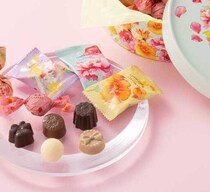 メリーチョコレート春限定「プレシュ―」ご挨拶に最適な新作♡