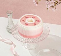 This is CHIFFON CAKE.から春限定桜ケーキが登場♡