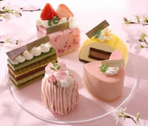 アンテノールのお花見スイーツ登場♪春限定の華やかケーキ特集