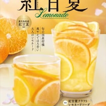 フレッシュネスバーガーのレモネード再登場♡紅甘夏の春限定ドリンク