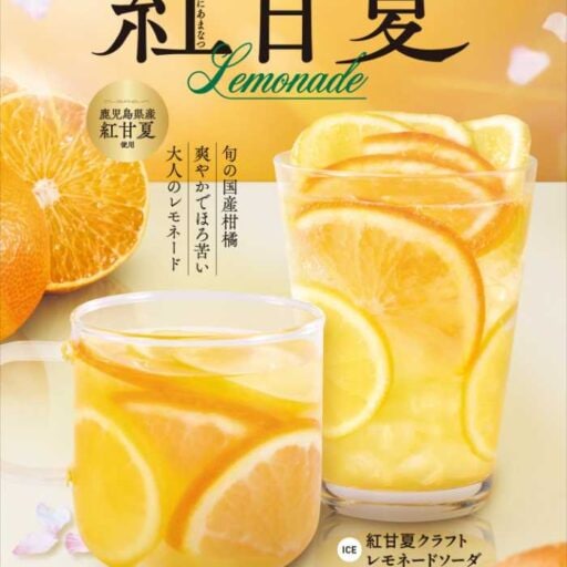 フレッシュネスバーガーのレモネード再登場♡紅甘夏の春限定ドリンク