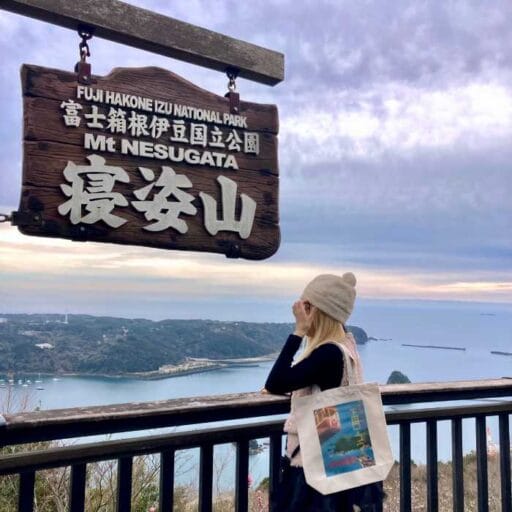 【下田ロープウェイ】伊豆急行リゾート21コラボ限定トートで春旅に出発!