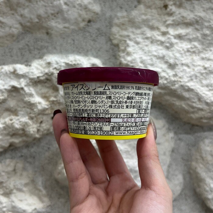 ハーゲンダッツのROCKY CRUNCHY!⑰