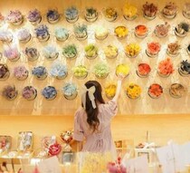 推し活にもギフトにも♡色で選べるドライフラワー花束が大阪初上陸！