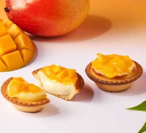 BAKE CHEESE TART マンゴー新作♡大阪限定タルト登場