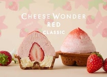 CHEESE WONDER復刻販売♡苺入り春限定チーズケーキが再登場