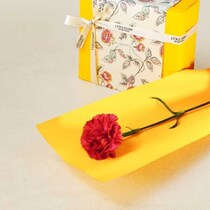 ロクシタンの母の日ギフト特集♡カーネーション付き限定キットに注目