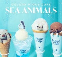 gelato pique cafeのあざらしクレープが再登場♡夏限定SEA ANIMALSフェア