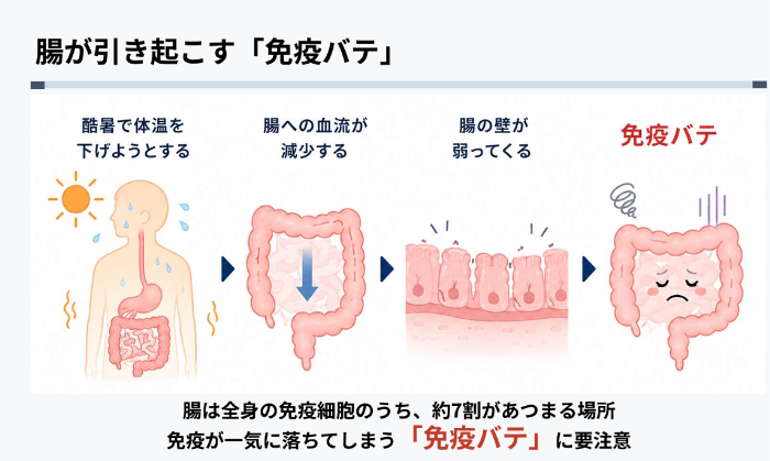 酢酸菌セミナーのスライド①