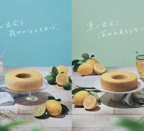 治一郎のレモンバウムが夏限定で登場♡東西で異なる味わいを楽しもう