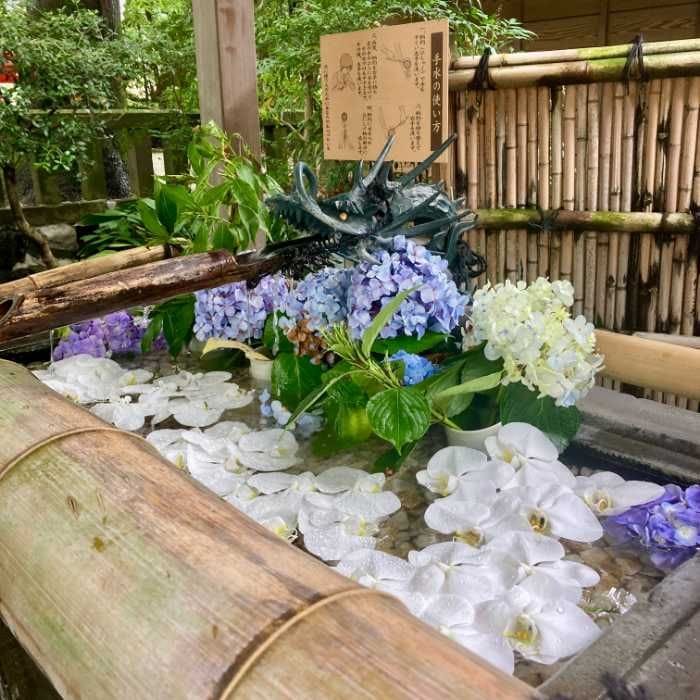 今宮神社の花手水
