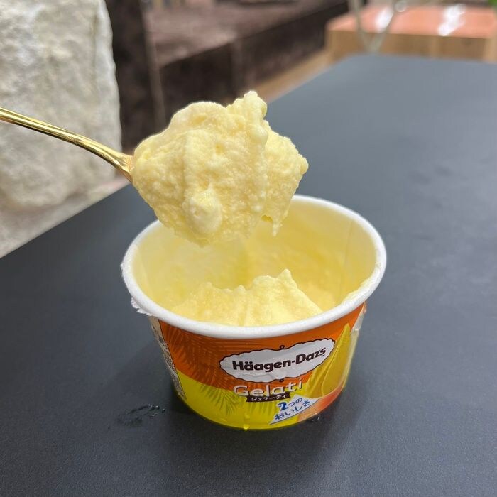 ハーゲンダッツの
Gelati⑭