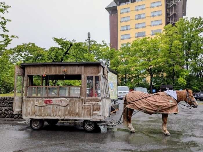 青森屋のアクティビティ20
