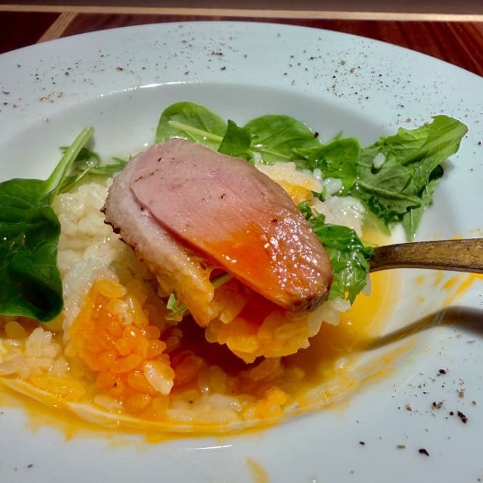 Gion Duck Noodles Asakusaのかもご飯3