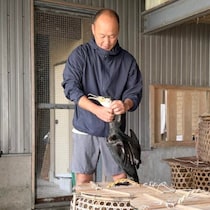 幻想的な世界感は圧巻！岐阜県 夏の風物詩「ぎふ長良川の鵜飼」鵜匠さんの一日に密着