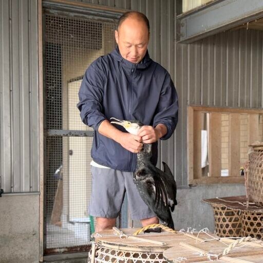 幻想的な世界感は圧巻!岐阜県 夏の風物詩「ぎふ長良川の鵜飼」鵜匠さんの一日に密着