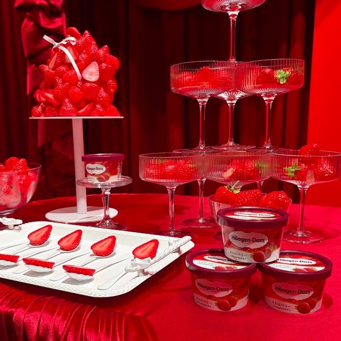 ハーゲンダッツのMeet Your Häagen-Dazs⑥