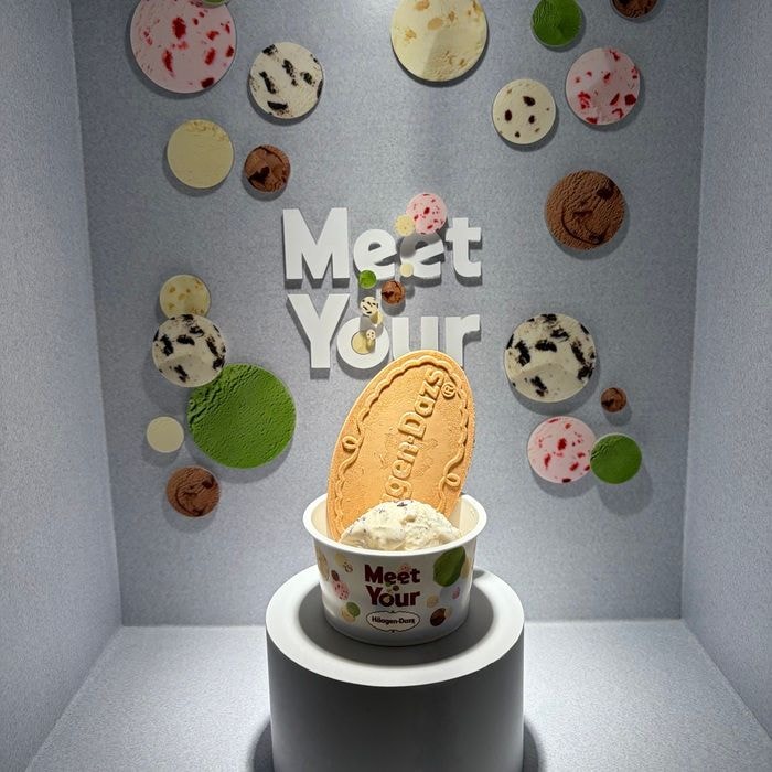ハーゲンダッツのMeet Your Häagen-Dazs①